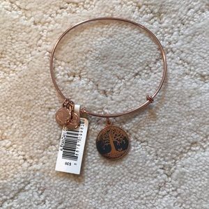 NWT Rare Alex and Ani